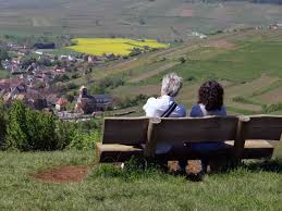 Aire de pique-nique - Banc Muller