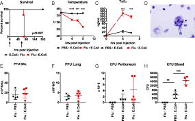 Mulai dari memilih kitchen set dengan tempat penyimpanan yang beragam hingga memadukannya dengan lampu led, beberapa referensi ini layak dijadikan inspirasi. Specific Sequences Of Infectious Challenge Lead To Secondary Hemophagocytic Lymphohistiocytosis Like Disease In Mice Pnas