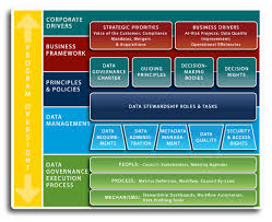 Data Management Software Sas Master Data Management Information Governance 100 Day Plan