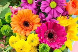 I have ordered sympathy flowers for a work colleague too. Wren S Florist Flower Delivery Bellefontaine Ohio Florist In Bellefontaine Bellfrontaine Flower Shop Local