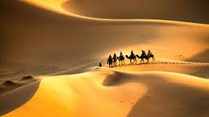 Arun shankar , pankaja menon , sekhar menon. Sahara Desert Morocco 2021 Top 10 Tours Activities With Photos Things To Do In Sahara Desert Morocco Morocco Getyourguide
