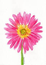 Pink Painting Gerbera Daisy 5 X 7 Original Watercolor Painting Daisy Painting Watercolor Flowers Pink Painting