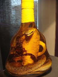 Image result for snake wine