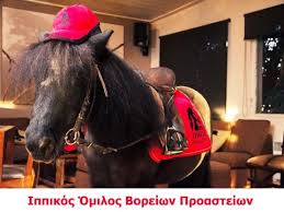 We did not find results for: Ippikos Omilos Boreiwn Proastiwn Pame Bolta