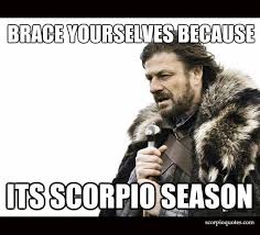 16 Scorpio Season Meme Scorpio Quotes Scorpio Season Scorpio Funny Funny Memes Images