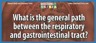 Use it or lose it they say, and that is certainly true when it comes to cognitive ability. What Is The General Path Between The Respiratory And Gastrointestinal Tract