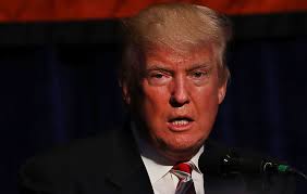 Desmintiendo el mito: los inmigrantes no cometen más delitos que los  nacidos en EEUU