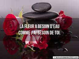 Proverbe amour - La fleur a besoin d'eau comme j'ai besoin de toi