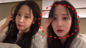 지식의정석