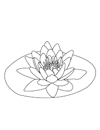 They have fascinated kids and adults alike over the years, becoming a popular subject for online. Coloring Pages Water Lily Flower Coloring Pages Lilies Drawing Flower Tattoo Drawings