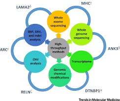 Npj schizophrenia is published in partnership between the schizophrenia international research society and nature publishing group. Molecular Risk Factors For Schizophrenia Trends In Molecular Medicine