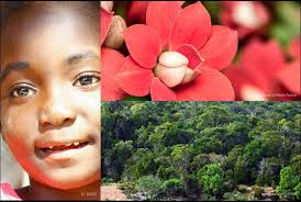 Fondation pour les Aires Protégées et la Biodiversité de Madagascar