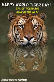 Pm modi in his address said, the use of ethanol extracted from sugarcane for mixing in petrol will benefit. Happy World Tiger Day 97 Of Tigers Are Gone In The Wild