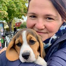 Beagle eyes can be very penetrating