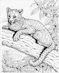 Cheetah printable coloring pages are a fun way for kids of all ages to develop creativity, focus, motor skills and color recognition. Realistic Cheetah Coloring Page Coloringbay