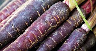 You can do this by wrapping the carrots in a damp cloth. Purple Carrots Anyone Farmers Almanac