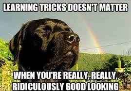 Pin On That S Funny