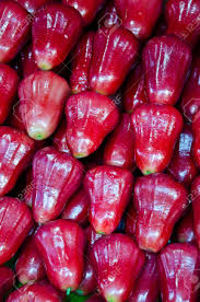 Find & download free graphic resources for rose apple. Thai Rose Apple Stock Photo Picture And Royalty Free Image Image 15665981