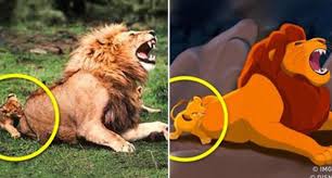 Iconic Videos Alternative Media Animated Movies Characters Animals Cute Little Animals