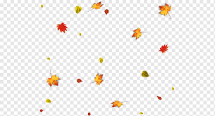 Maple Leaf Autumn Leaf Autumn Leaves Falling Leaf Maple Leaf Orange Png Pngwing Hence a leave is an organ of a vascular plant. maple leaf autumn leaf autumn leaves