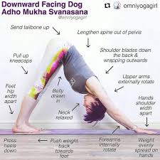 Yoga Asanas Tips Tutorials Yogaalignment On Instagram Adhomukhasvanasana Downwardfacingdogpose O Yoga For Beginners Yoga Tutorial Yoga Lessons