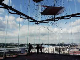 Meine Sieben Tipps Fur Antwerpen Meerblogs Miniguide