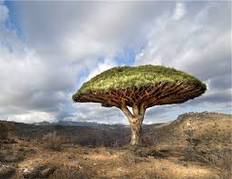Pin On Mother Nature