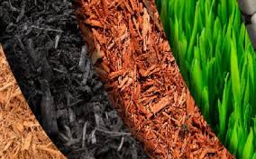 Check spelling or type a new query. Garden Grove Adelaide Nursery Gardening And Landscape Supplies