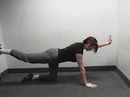 Bird Dogon Hands And Knees Raise Opposite Arm And Leg Straight Out From Body Hold Return To Start Position Then R Home Exercise Program Exercise Leg Raises