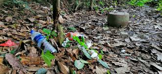 Clementi forest is singapore's second largest forest that looks like it came straight out of a fairy the clementi forest is about 85 hectares in area, bounded by king albert park, clementi road, old. Clementi Forest A Look Within Jimmy Tan S Photo Gallery