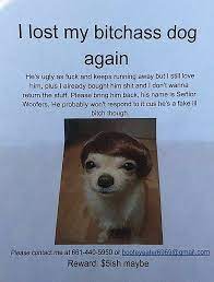 Best Lost Dog Flyer Ever Losing A Dog Cute Quotes For Him I Still Love Him