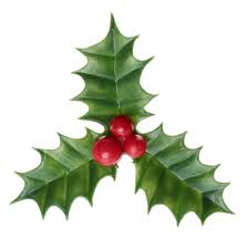Houx De Noel Sur Pique Decoration Noel Vaisselle Jetable