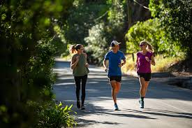Together you'll run, or roll, to discover a cure for spinal wire damage, all at the similar time! 9 Training Tips For The Wings For Life World Run