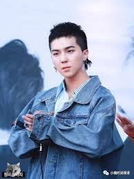 He made his debut as a member of the chinese boy group x nine. å«Œå¯¸é ­å¤ªåƒé•·ç›¸ é‚£ä¾†è©¦è©¦gdå'Œå³äº¦å‡¡éƒ½å‰ªéŽçš„mulleté«®åž‹ é ­æ¢è³‡è¨Š