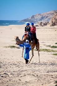 A camel ride along the coast. Pin On Places To Visit