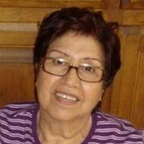 Ted Gates's Instagram, Twitter & Facebook