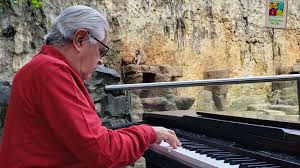 See more of zoo music on facebook. Pianist Soothes Animals With Music At Colombia S Cali Zoo Kutv