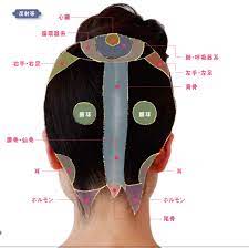 女性のための 効くツボと反射帯全図 頭編２ yolo 頭 ツボ 健康 耳つぼダイエット