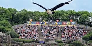 L'appel vous sera facturé 118 centimes par minute. Les Secrets Du Puy Du Fou L Oeuvre De Philippe De Villiers