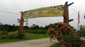 Not Worth It Desaru Fruit Farm Kota Tinggi Traveller Reviews Tripadvisor