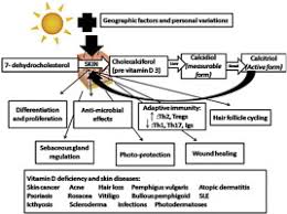 Vitamin d is unique because your skin actually produces it by using sunlight. Vitamin D And The Skin Focus On A Complex Relationship A Review Sciencedirect