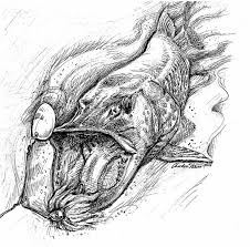 Image From Http Www Sportsmanshabitat Com Wp Content Uploads 2010 07 Muskie Drawing Jpg Fly Fishing Art Fish Painting Pike Art