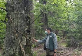 Rusia tratează cu respect rezultatele alegerilor parlamentare anticipate din republica moldova și se așteaptă ca acestea să contribuie la armonia interetnică în societate, a declarat purtătoarea de cuvânt a ministerului de externe rus, maria zaharova. Audio Ministrul Mediului Apelor Si PÄƒdurilor Vrea SÄƒ Dubleze SuprafaÅ£a PÄƒdurilor Virgine Din Romania Incepand Din Caras Severin Radio Romania ReÈ™iÈ›a