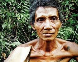 Motif tato di dada simple. Dulu Motif Tato Dayak Merepresentasi Kelas Sosial Dalam Masyarakat Edelweisnews Com