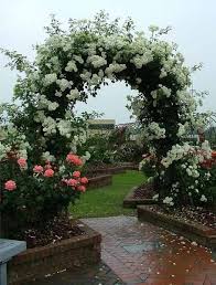 Rosen Fur Schone Outdoor Dekor Charmante Garten Designs Und Hinterhof Ideen Gartengestatung 2019 Charma In 2020 Rose Garden Design Garden Arches Charming Garden