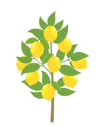 Lemon Clipart Stock Illustrations 3 625 Lemon Clipart Stock Illustrations Vectors Clipart Dreamstime Download and use them in your website, document or presentation. lemon clipart stock illustrations 3