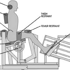 His life's work is interwoven with the end of the of his role in polish society, adam michnik once said: Medx Lumbar Extension Machine Showing Restraint System Download Scientific Diagram