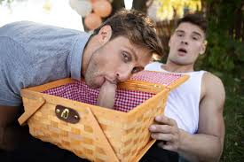 Picnic Sex Compilation - Non-Stop Action Revealed