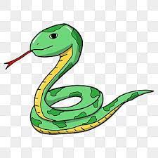 Cartoon Snake Cartoon Clipart Snake Clipart Green Png Transparent Clipart Image And Psd File For Free Download Cartoon Clip Art Clip Art Cartoon