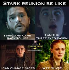 Got Game Of Thrones Meme Jon Snow Sansa Arya Brandon Stark Got Gameofthrones Stark Sansastar Game Of Thrones Sansa Game Of Thrones Meme Got Game Of Thrones